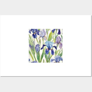 Watercolor study of blue irises Posters and Art